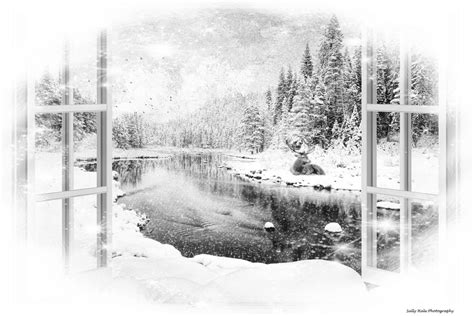 Window View Hmm Sally Hale Flickr