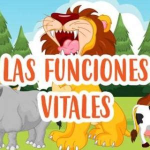 FUNCIONES VITALES Ocas Juego Educativo Ciencias Mobbyt