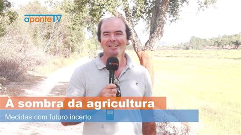 À sombra da agricultura Medidas futuro incerto YouTube