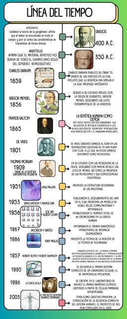 línea del tiempo historia de la genética LITHER uDocz