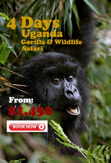 Safari Uganda Ultimate Uganda Tour Holidays Acacia Safaris Ltd