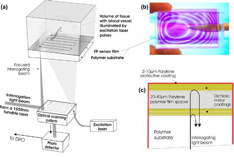 Figure 1 From Three Dimensional Photoacoustic Imaging Of Vascular