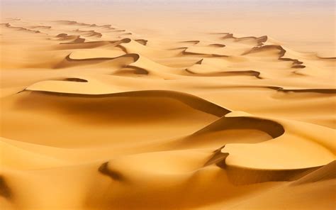 Landscape Nature Sand Desert Sahara Habitat Natural