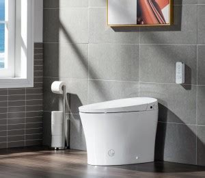 Woodbridge B S Smart Bidet Tankless Toilet Elongated One Piece