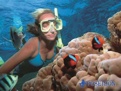 Snorkeling The Great Barrier Reef With Poseidon Cruises