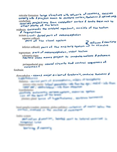 SOLUTION Neuro Anatomy Notes Studypool