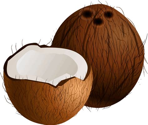 Coconut PNG Clip Art Best WEB Clipart Clip Art Library