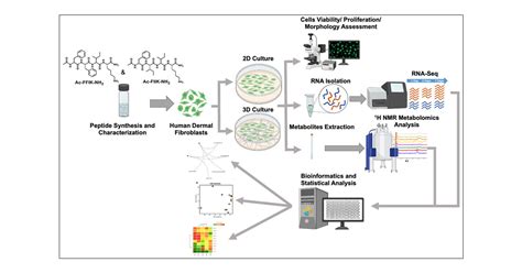 The Impact Of Mechanical Cues On The Metabolomic And Transcriptomic