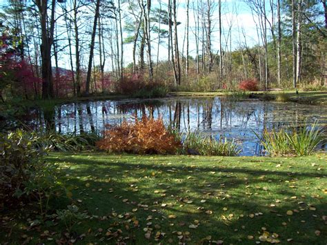 Fall Foliage - New England