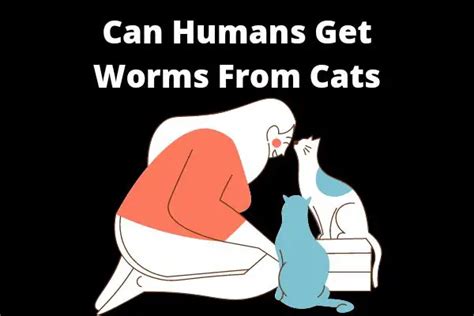 Can Humans Get Worms From Cats Detailed Answer