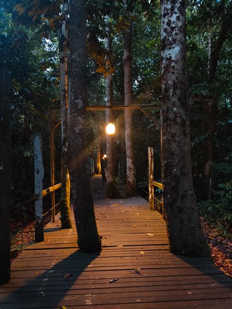 Sukau Rainforest Lodge | Ecotours - Life of a Passion | Travel Blog