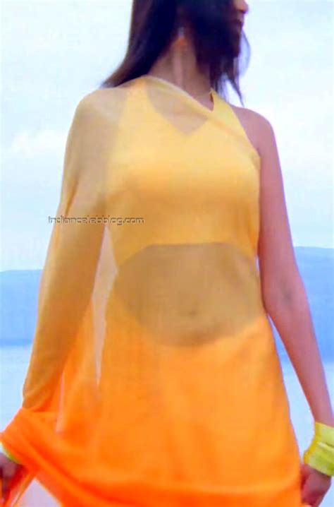 Genelia Sachien Vijay Hot Transparent Saree Hd Caps Starcelebblog