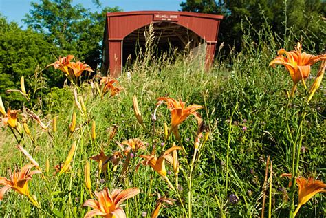 Madison County Bridges Stock Photos Pictures And Royalty Free Images