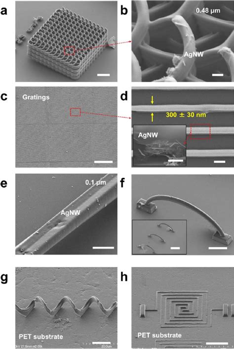 SEM Micrographs Of Various Functional Micro Nanostructures Fabricated