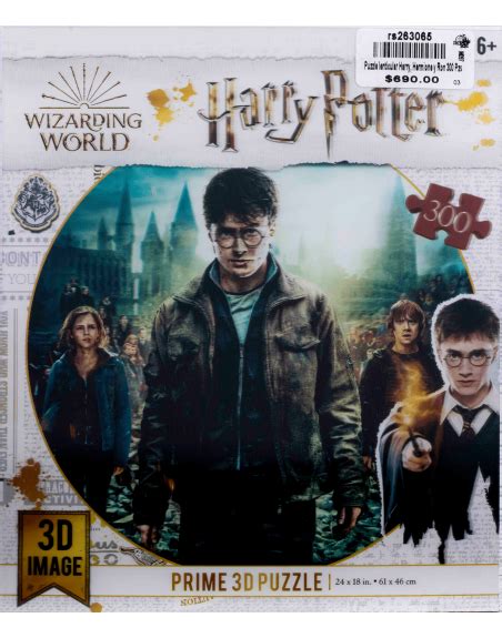 Rompecabezas De Harry Potter 300 Pz