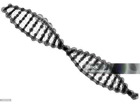 Dna Architect Blueprint Isolated Stock Photo Download Image Now