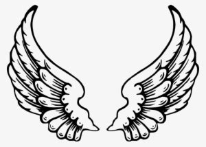 Baby Angel Wings Vector at Vectorified.com | Collection of Baby Angel ...