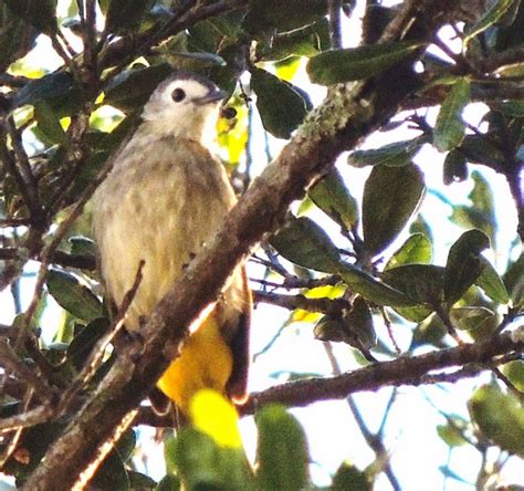 Sabah Borneo August 2014 Part 3 Birdgirl