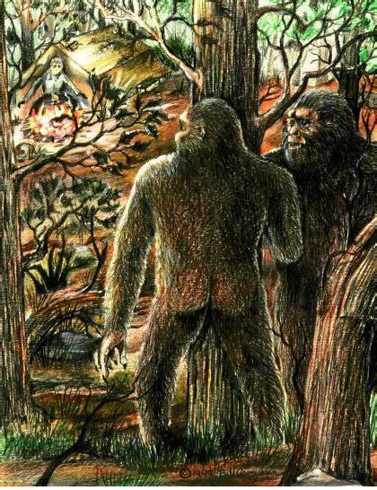 Terrifying Yowie Had ‘massive Sex Organs’ Daily Telegraph