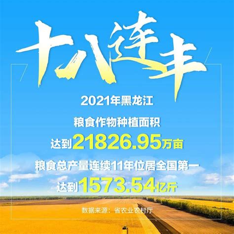 粮食总产量157354亿斤！黑龙江“十八连丰”田井军全国宋伟东