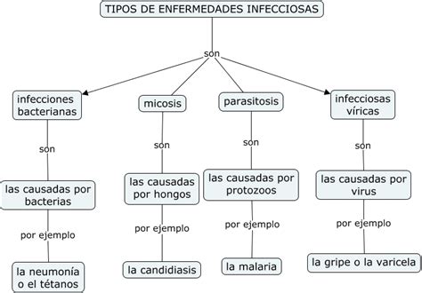 Ejemplos De Enfermedades Infecciosas Y No Infecciosas - Opciones de Ejemplo