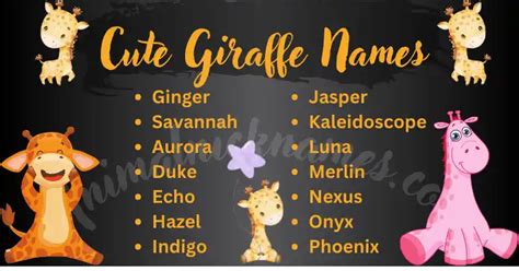 Best 400+ Cute and Funny Giraffe Names [Perfect Ideas]