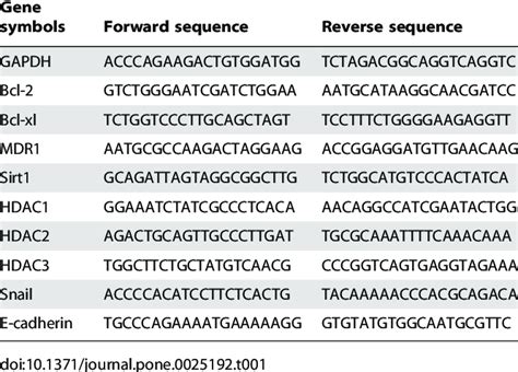 Primer Sequences For Real Time Rt Pcr Download Table