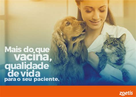 Conteúdos de medicina felina Zoetis BR