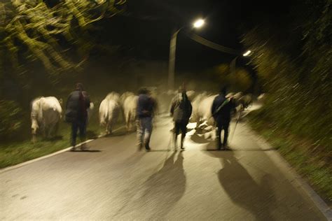 15 Artisti In Racconti In Visibili Tra Cielo E Terra Giornale Di