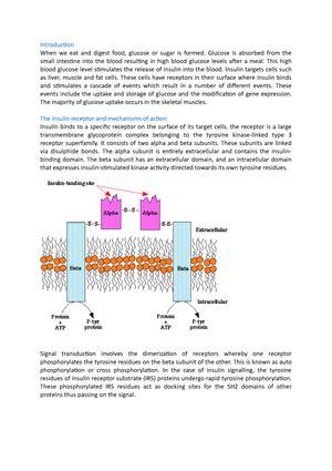 Cellular Structures And Processes Notes Diagrams Illustrations