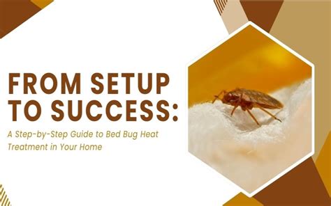 From Setup To Success A Step By Step Guide To Bed Bug Heat Treatment