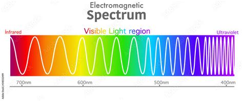 Vecteur Stock Visible Electromagnetic Spectrum Diagram Ultraviolet To