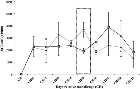 Somatic Cell Counts Scc In Milk From Challenged Quarters Twenty