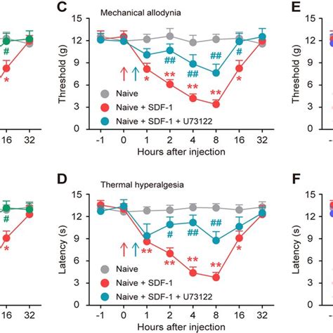 Intrathecal Injection Of Cxcr Sirna Attenuates Tci Induced Cancer Pain