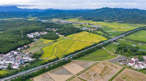 农业农村部：预计未来5 10年农业农村投资需求近15万亿元凤凰网视频凤凰网