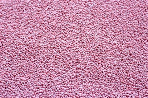 premium photo chemical plant fertilizer  planting  plantation