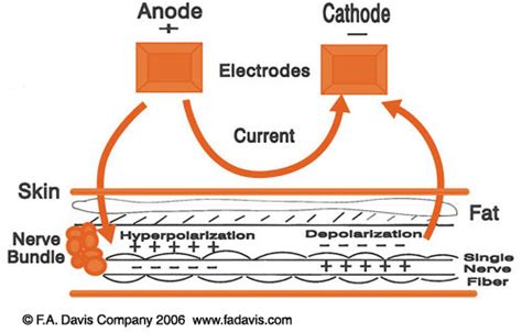 Foundations Of Electrical Stimulation