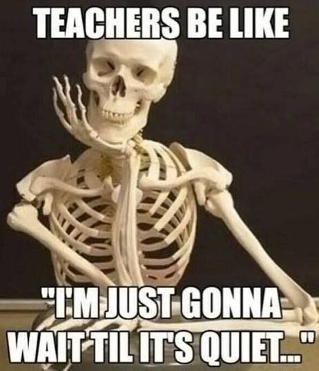 Teachers Teacher Memes Funny Funny Quotes Teacher Memes