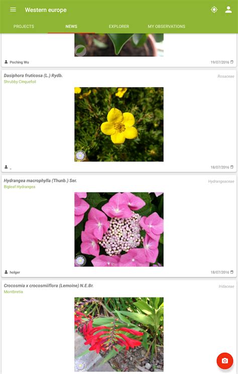 Plantnet Plant Identification Android Apps On Google Play