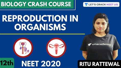 Reproduction In Organism Biology Crash Course Class 12th Neet Biology Neet 2020 Youtube