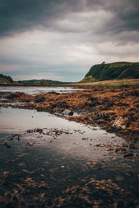 Torsa Island :: The Island & The Oban Area