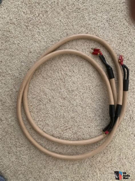 Tara Quantum Iii Space Time Shotgunned Biwire Speaker Cables Photo