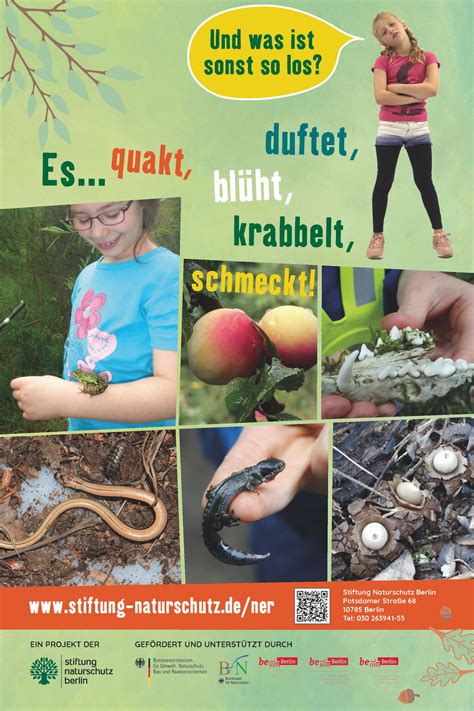 Ausstellungstafeln Naturerfahrungsr Ume Stiftung Naturschutz Berlin