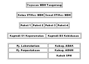 Organisasi STIKes Widya Dharma Husada Tangerang