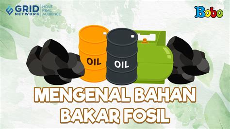 Fakta Menarik Mengenal Bahan Bakar Fosil Dan Terbentuknya Batu Bara