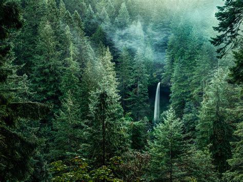 Pacific Northwest Wallpapers - 4k, HD Pacific Northwest Backgrounds on