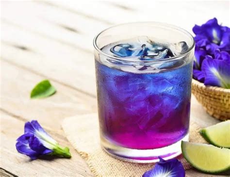 Resep Butterfly Pea In My Lemonade