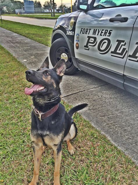 Fort Myers Police Departments K9 Gunny And Janko To Get Donation Of