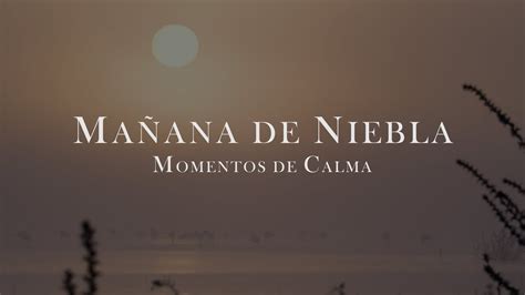 Mañana de niebla momentos de calma Naturaleza y Musica para el Relax