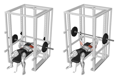 7 Best Barbell Bench Press Variations (with Pictures!) - Inspire US